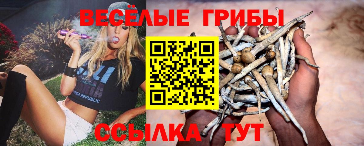 Муром  купить закладку  Вход с VPN  Псилоцибиновые грибы прущие грибы 